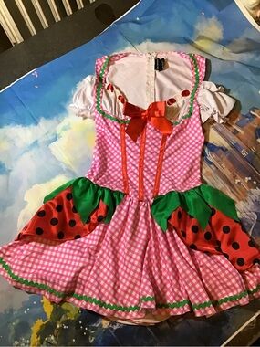 Leg avenue strawberry shortcake woman’s costume size small